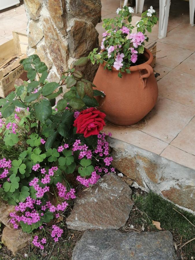 Lysa La Garde (Var)