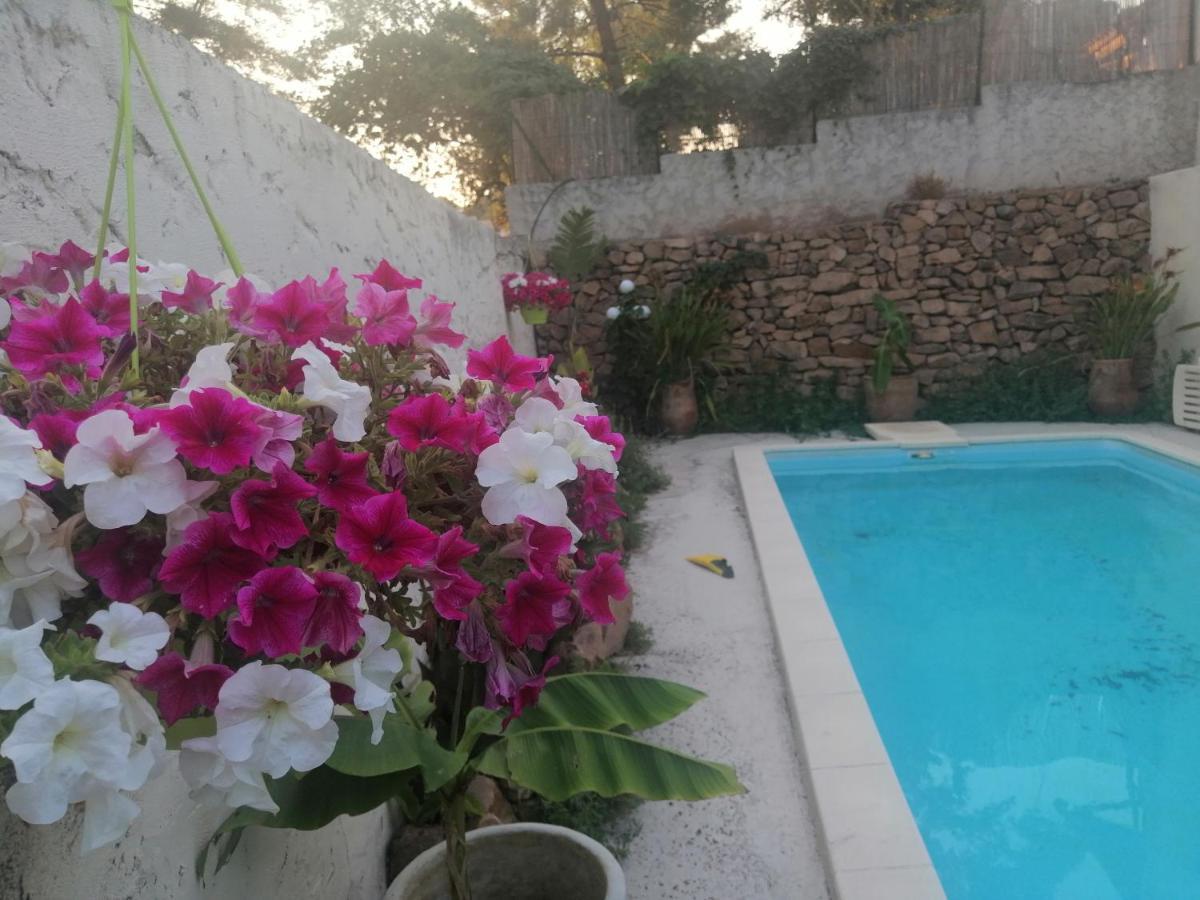 Lysa Appartement La Garde (Var)