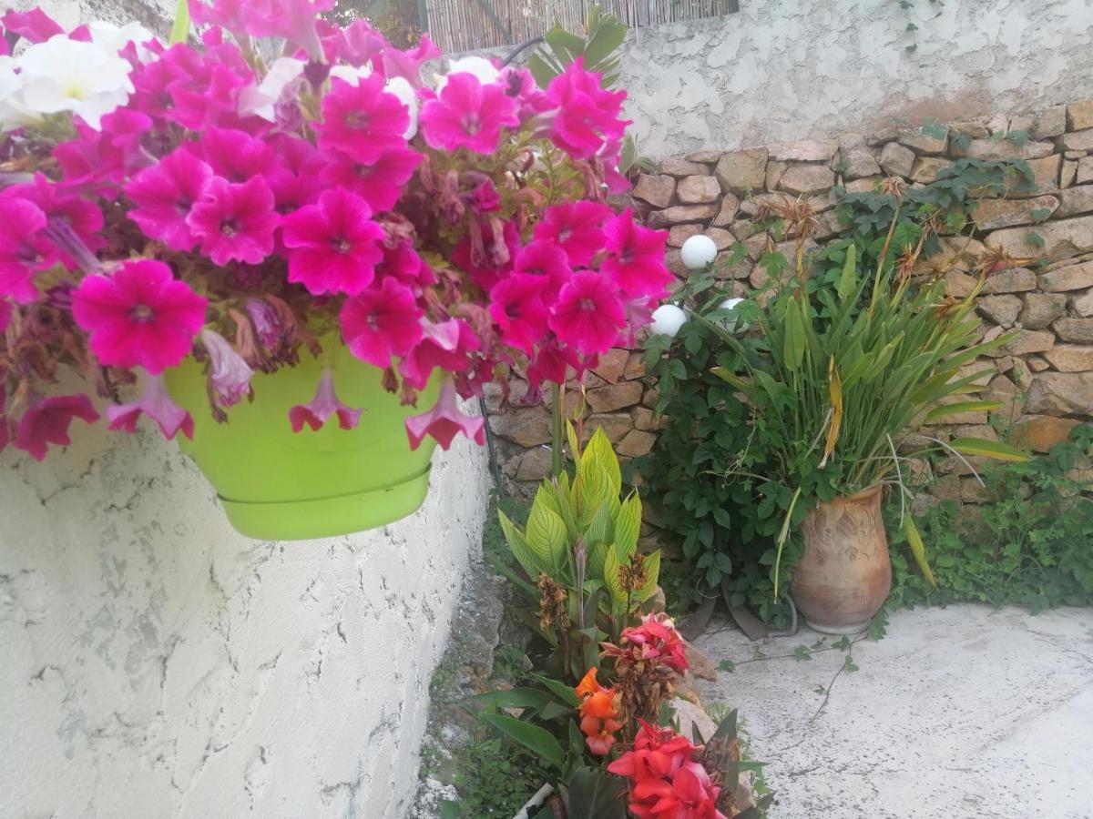 Lysa * La Garde (Var)