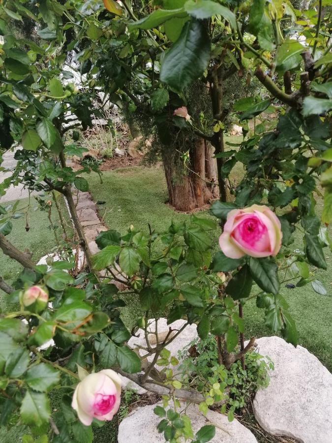 Appartement Lysa