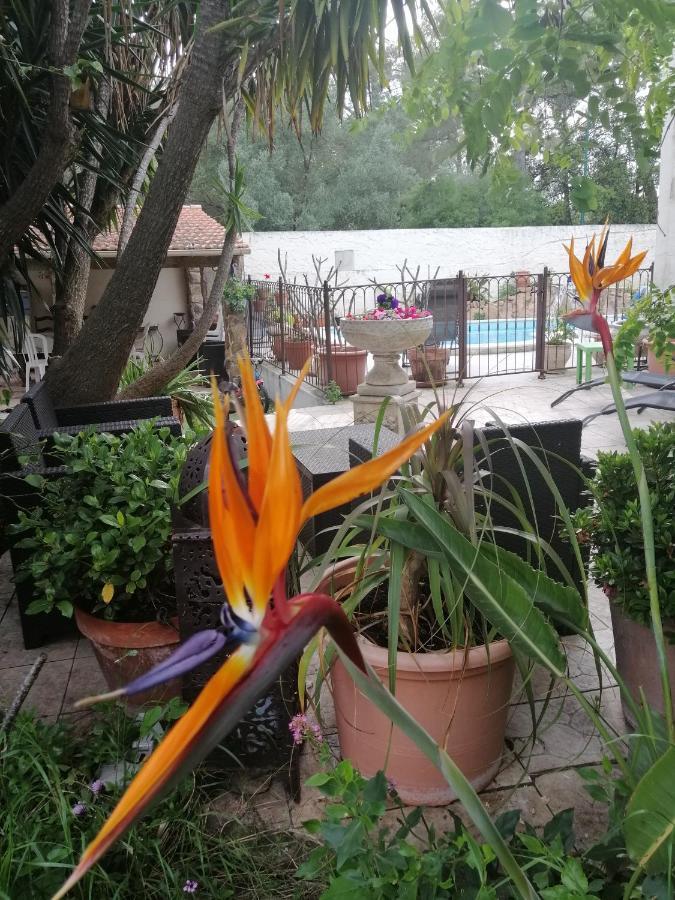 Appartement Lysa La Garde (Var)