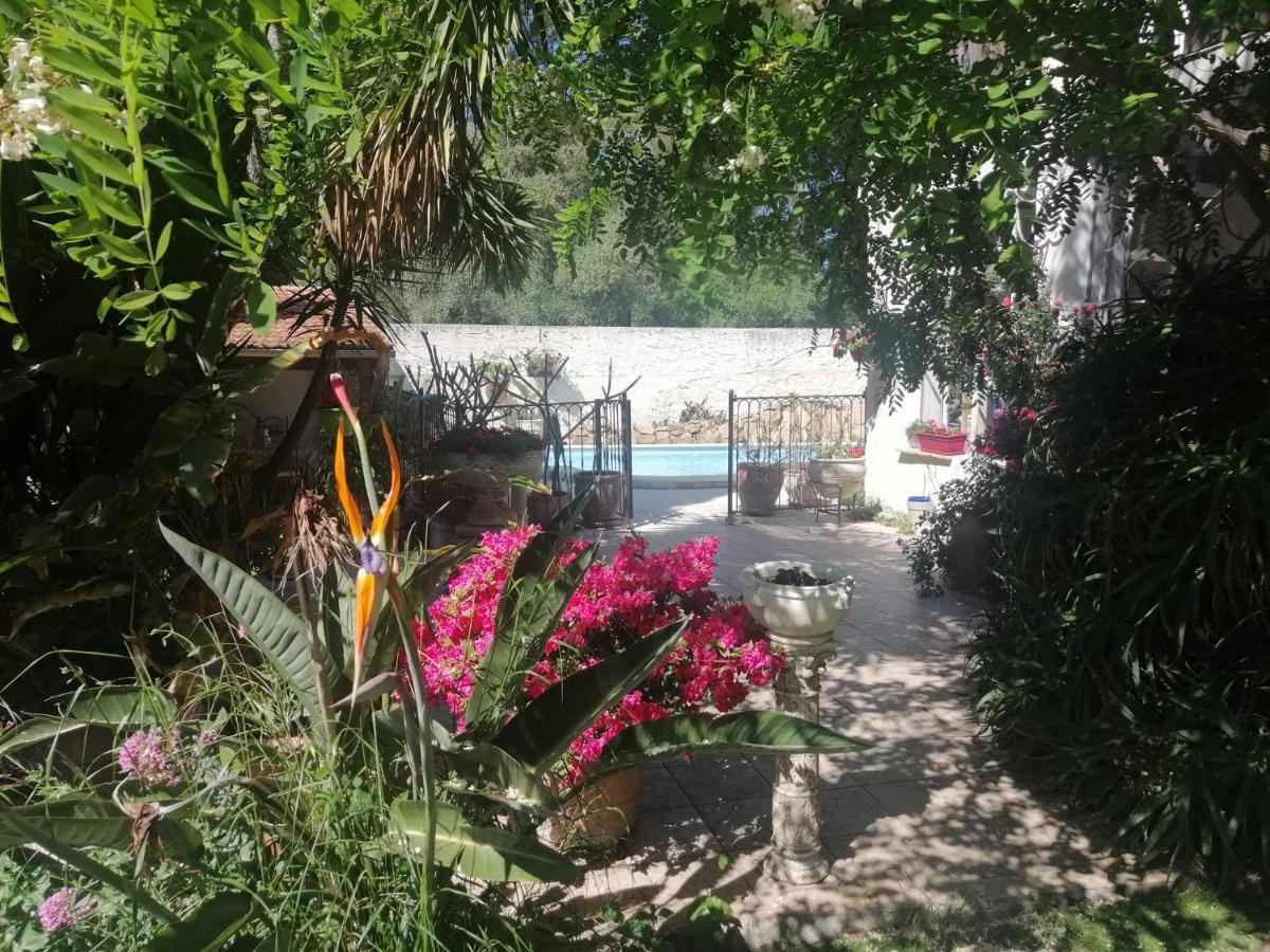 Lysa Apartamento *